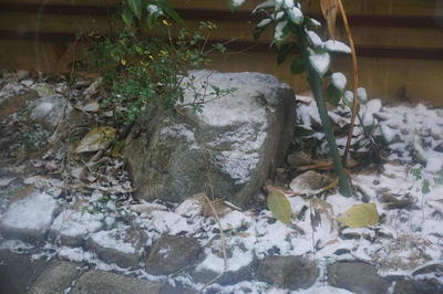 snowstone1111.jpg
