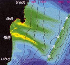 somatunami11.jpg
