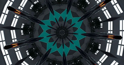 spaceflower6.jpg