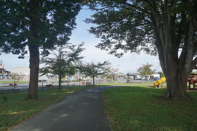 stationparktree12.jpg