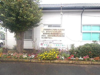 stgg222.jpg