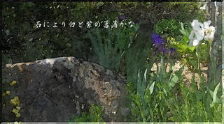 stoneayameeee1_FotoSketcher3.jpg