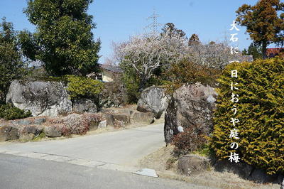 stonebig1122.jpg