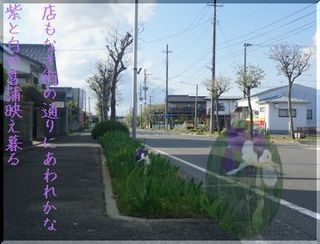 streeeyayame123.jpg