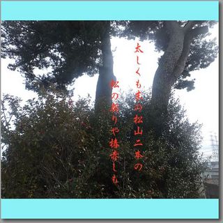 suematu1111.jpg