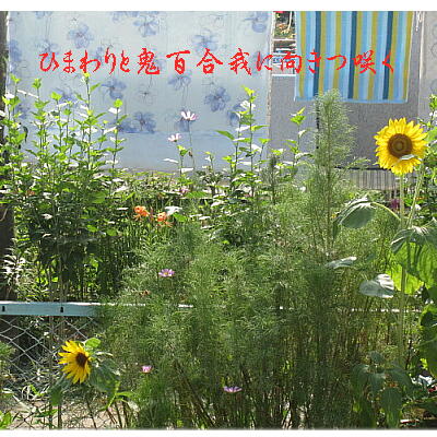 sunfloweroni11.jpg