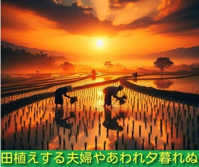 sunsettaue2.jpg
