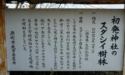 sutashiii111.jpg
