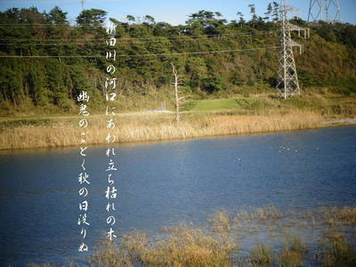 tachikareee111.jpg