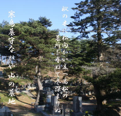 takamatubochii1.jpg