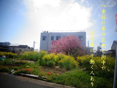 tamagoyaa1.jpg