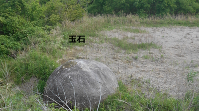 tamaishi.jpg