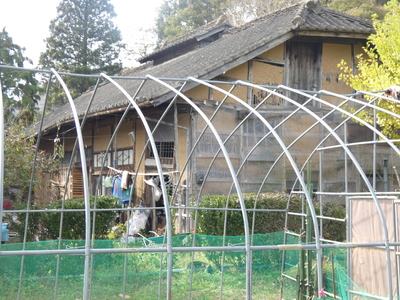 tamanohouse5.JPG