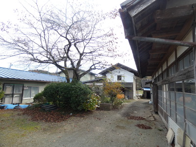 tamanomuahouse4.JPG
