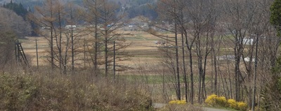 tamanomuraheichi.jpg