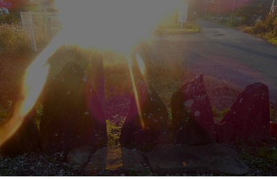 tamanosunset.jpg