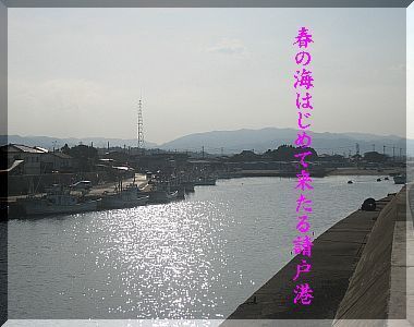 tanashiooooooo1222.jpg
