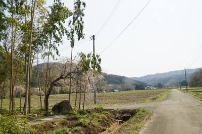 taninohara.jpg
