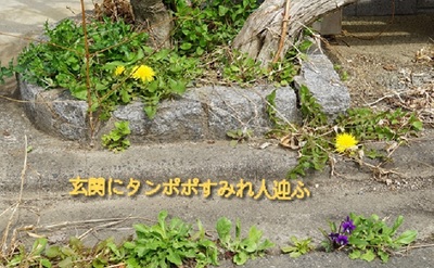 tanpoposumire.jpg