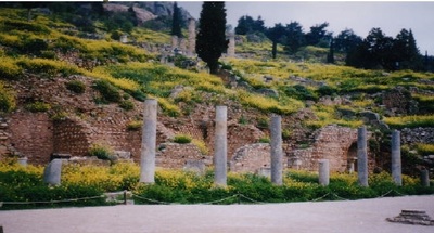 templenanohana.jpg