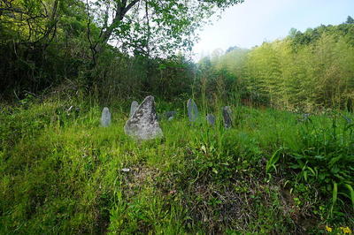 tombgrass8.jpg