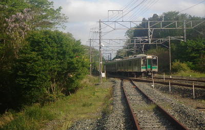 trainfuji11.jpg