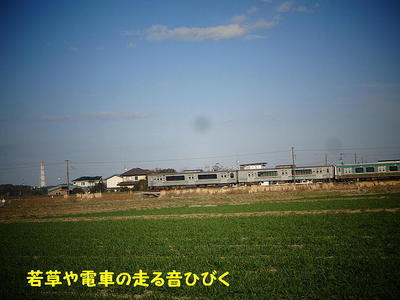 traingrass11.jpg