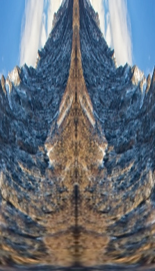 treebig111.jpg