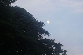 tukiiiii123.jpg