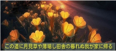 tukimisouyube.jpg