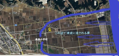 tunamidream1.jpg