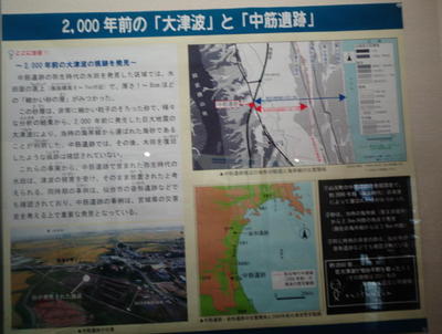 tunaminakasuji1.jpg