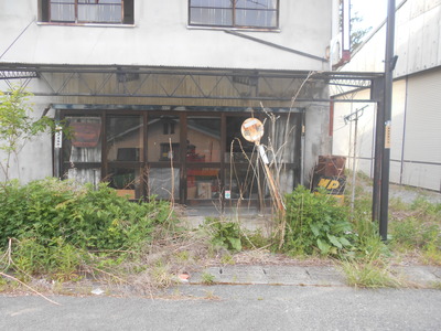 tushima8.JPG