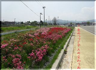 tutujijiji12123.jpg