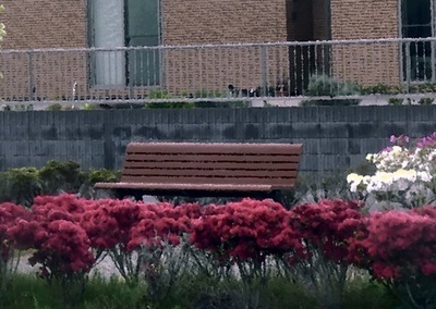 tutujipark22.jpg
