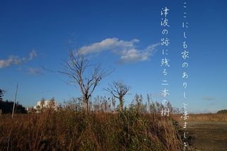 twotrees111.jpg