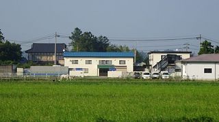 umakusa1.jpg
