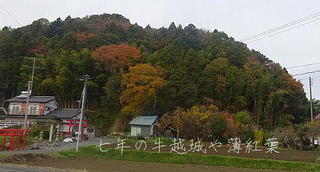 ushigoeee11122.jpg