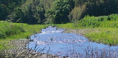 ushigoeriver.jpg