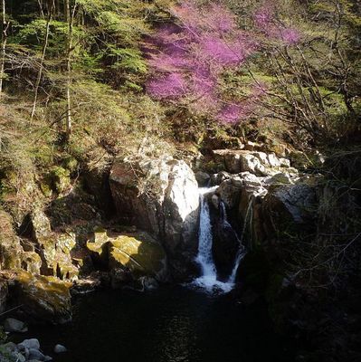 waterfallsakura123.jpg