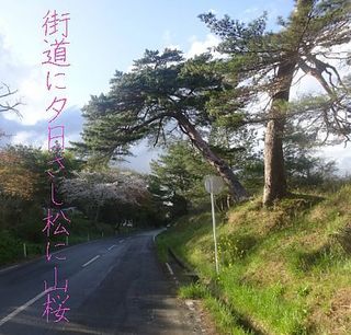 yakushiii1222.jpg