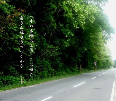 yamafujiiiii1234566.jpg