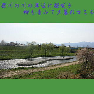 yanagwasakuea111.jpg