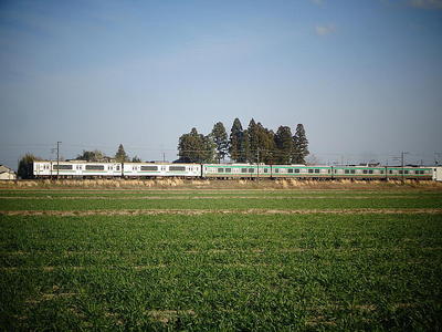 younggrass12.jpg