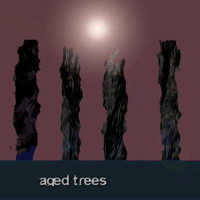 agedtrees6.jpg