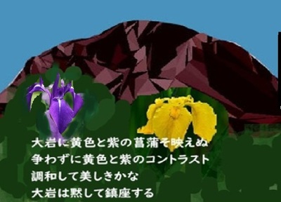 ayamekontrast.jpg