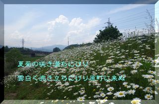 natugikuharamachiii1.jpg
