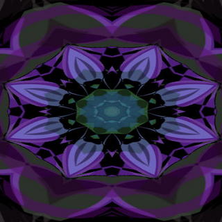 perpleflower11.jpg