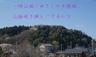 ushigoeeee12344.jpg