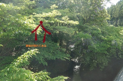 waterfalltaki.jpg